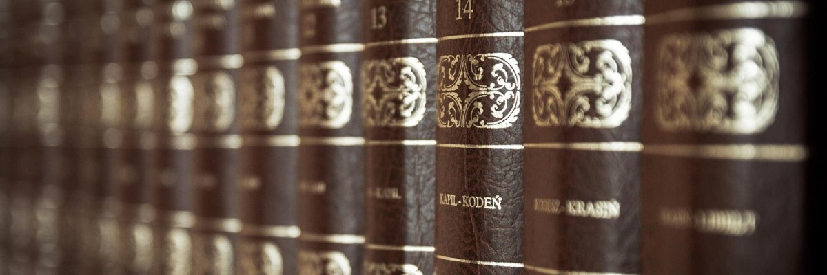 Mehrere Bücherrücken aus braunem Leder mit goldener Verzierung nebeneinander