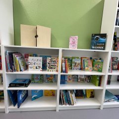weißes Bücherregal mit verschiedenen Büchern, die ordentlich eingeräumt sind