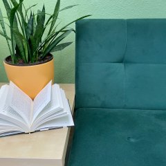 Grünes Sofa mit aufgeschlagenem Buch auf einem Tisch 