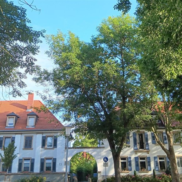 Altbau Wohnanlage