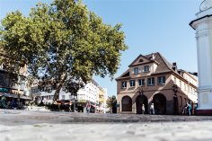 Das Erkenbert-Museum, Blick vom Rathausplatz