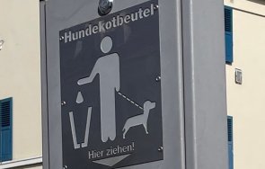 Hundekotbeutelspender Ein Spender für Hundekotbeutel montiert an einer Stange