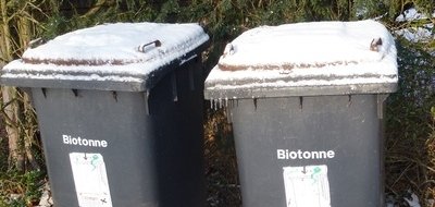 Biotonne Winter