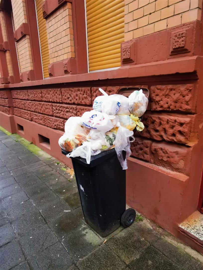 eine mit Plastiktüten überfüllte Biotonne an einer Hauswand