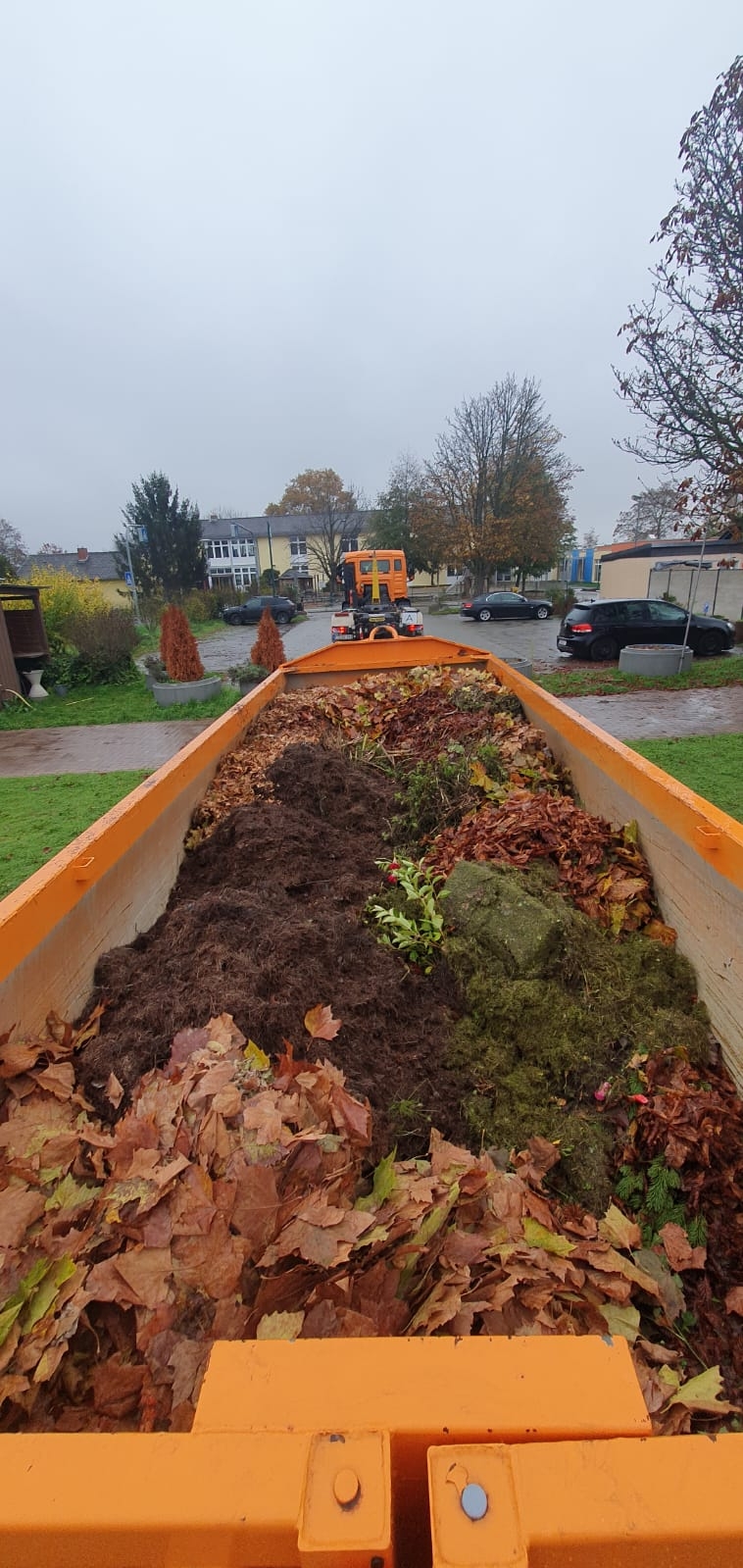 Container Grünabfallsammlung