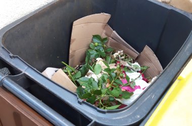Mülltonnen_Biotonne_Papiertonne Juni 2019_