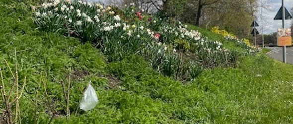 Ein Plastikbeutel hängt in einem Blumenbeet in Frankenthal 