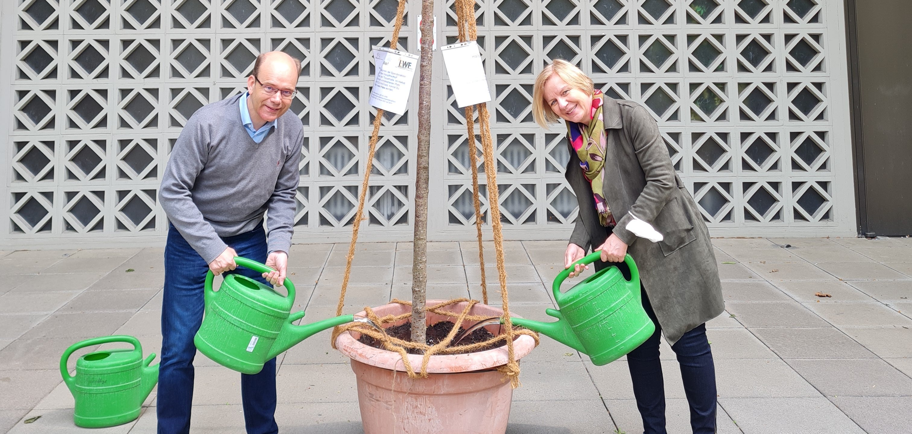 Frau Anders und Herr Knöppel gießen eine Topfpflanze.