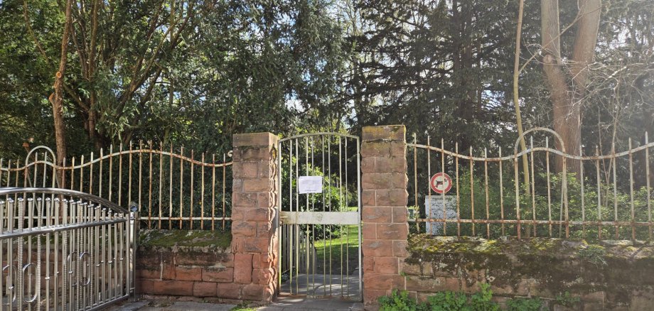 Tor in der Johann-Casimir Straße Tor in der Johann-Casimir Straße