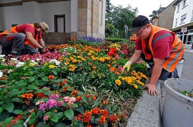 Mitarbeiter beim Pflanzen eines Sommerbeetes