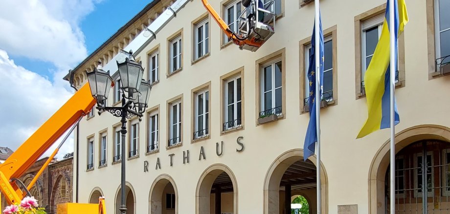 Geranien am Rathaus