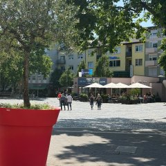 Bunte Blumenkübel Rathausplatz