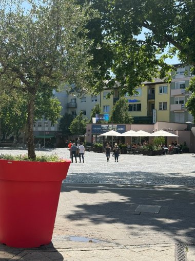 Bunte Blumenkübel Rathausplatz