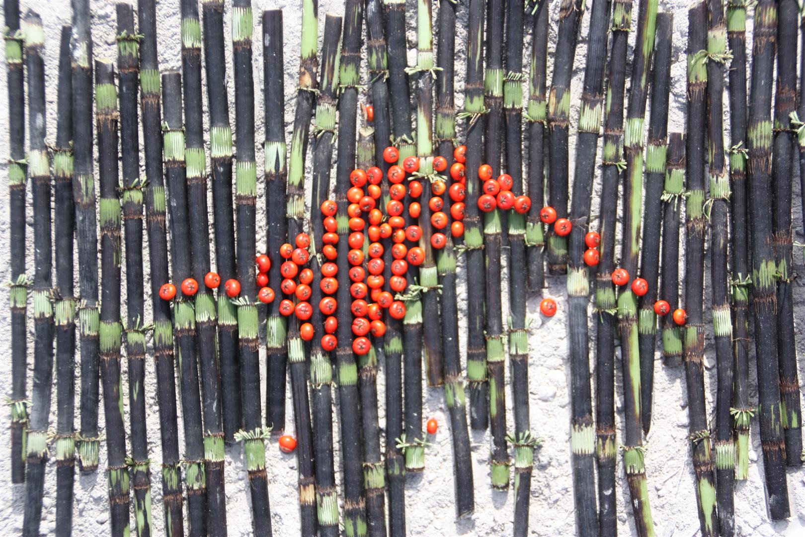 Feuerzunge Zu sehen ist ein LandArt Objekt