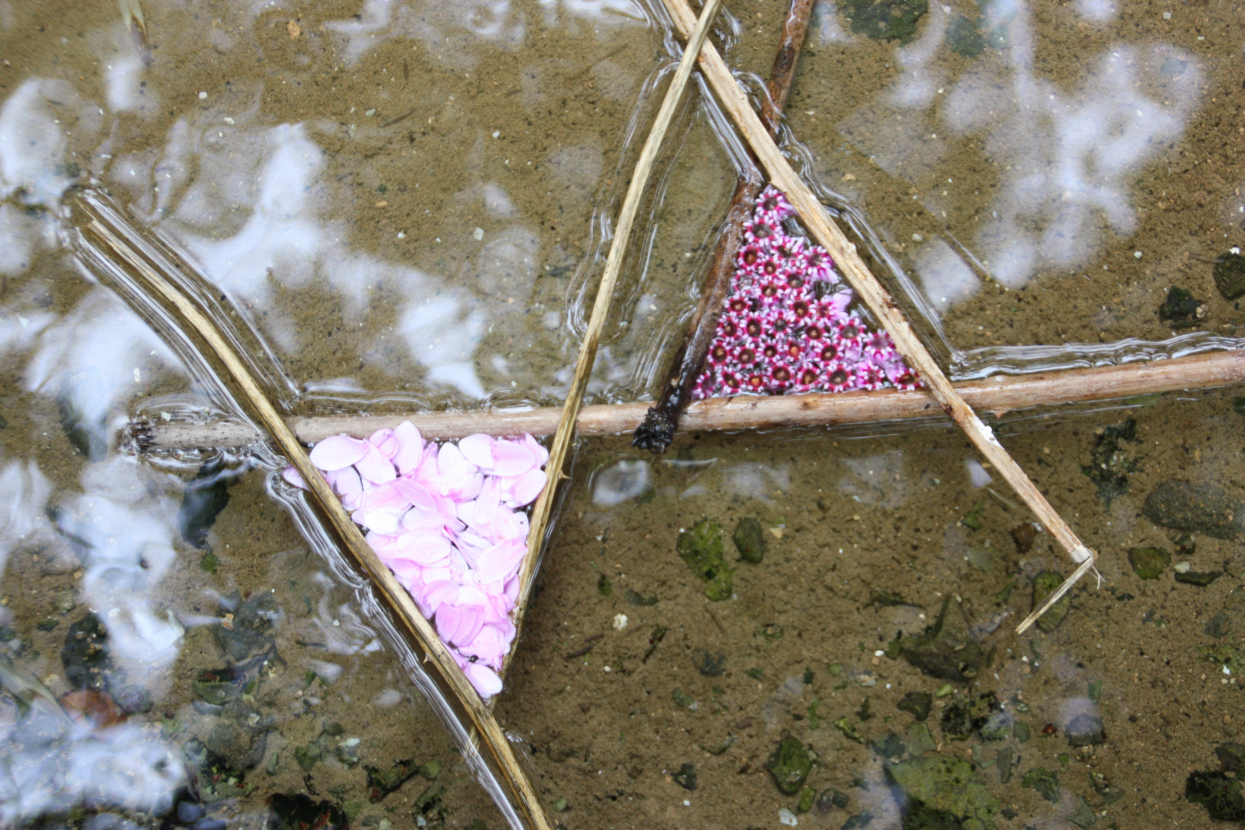 Wasserblüte Zu sehen ist ein Objekt aus Bambusstäben im Wasser