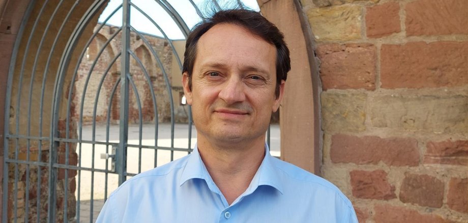 Jawor Domischljarwski