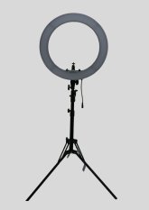 Ringlicht mit Stativ vor hellem Hintergrund