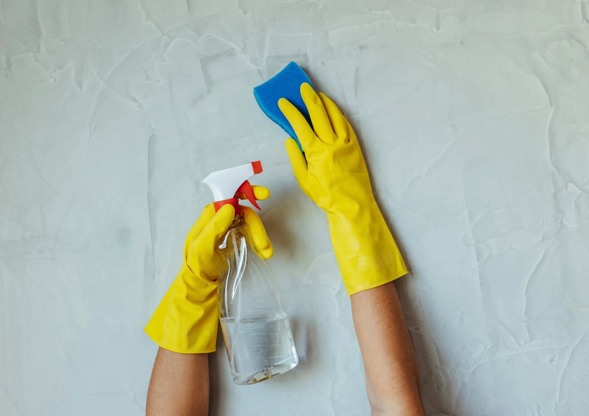 Gelbe Reinigungshandschuhe, die einen Schwamm und ein Putzmittel zeigen