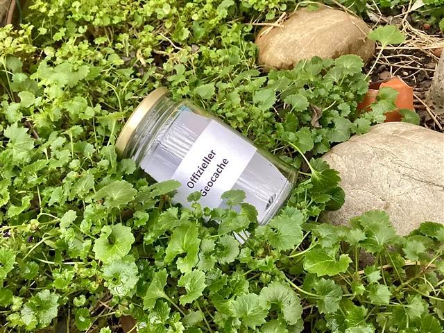 GeoCaching für Jugendliche Auf einer Wiese liegt ein Glas auf dem Offizieller Geocacher steht. Rechts daneben liegen zwei Steine