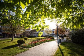 Willy-Brandt-Anlage im Frühling Willy-Brandt-Anlage im Frühling