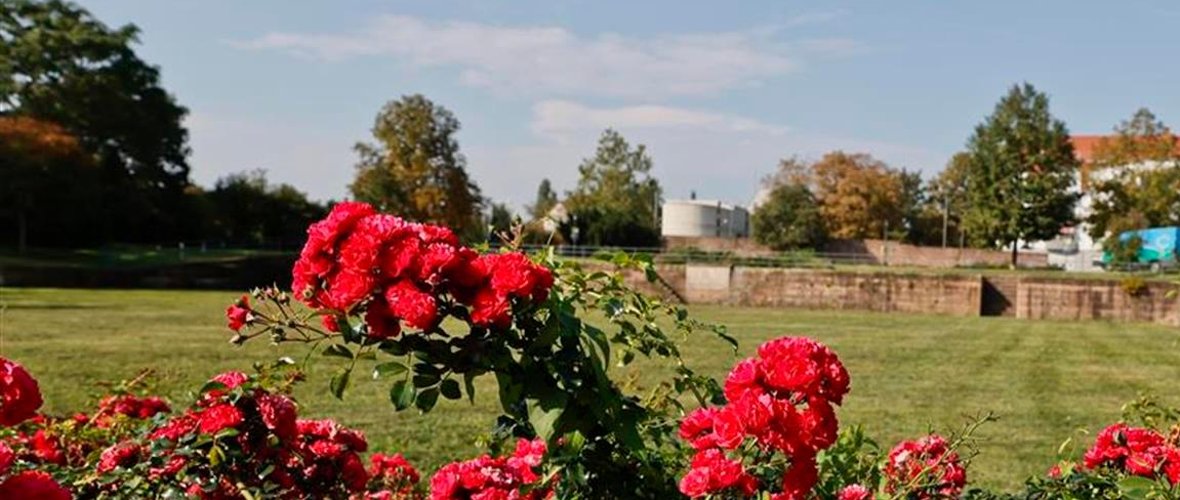 Bürgerpark Kanalhafen