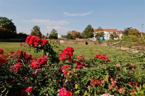 Bürgerpark Kanalhafen Bürgerpark Kanalhafen