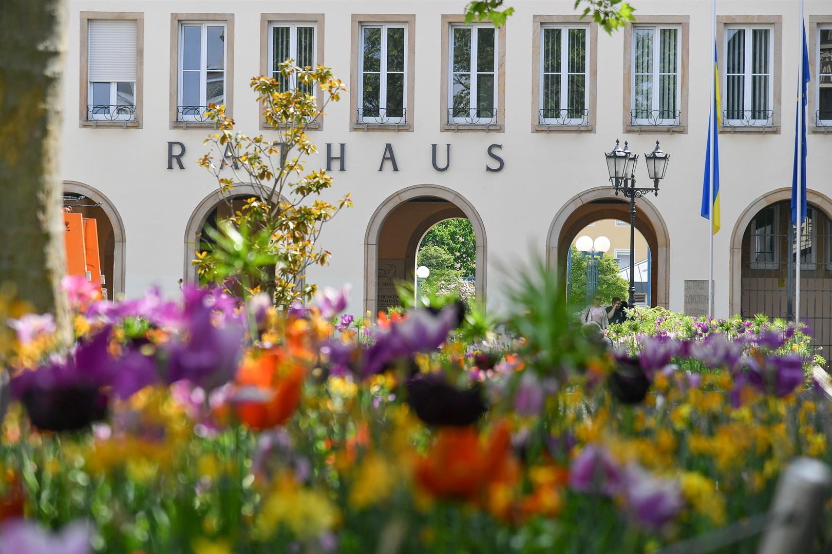 Rathaus-Gebäude mit Blumenpflanzung im Vorgergrund