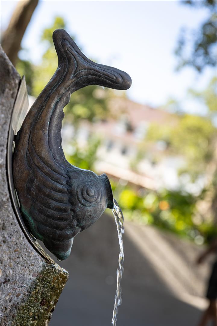 Speiender Fisch am Rathausplatz