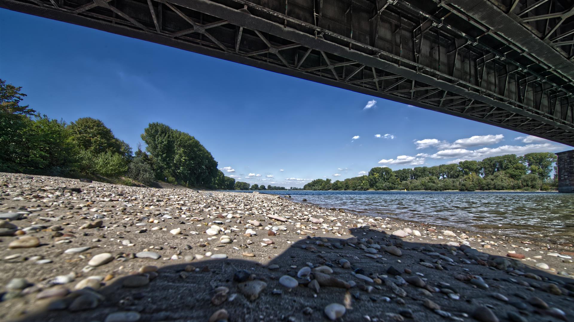 Rheinufer an der Petersau