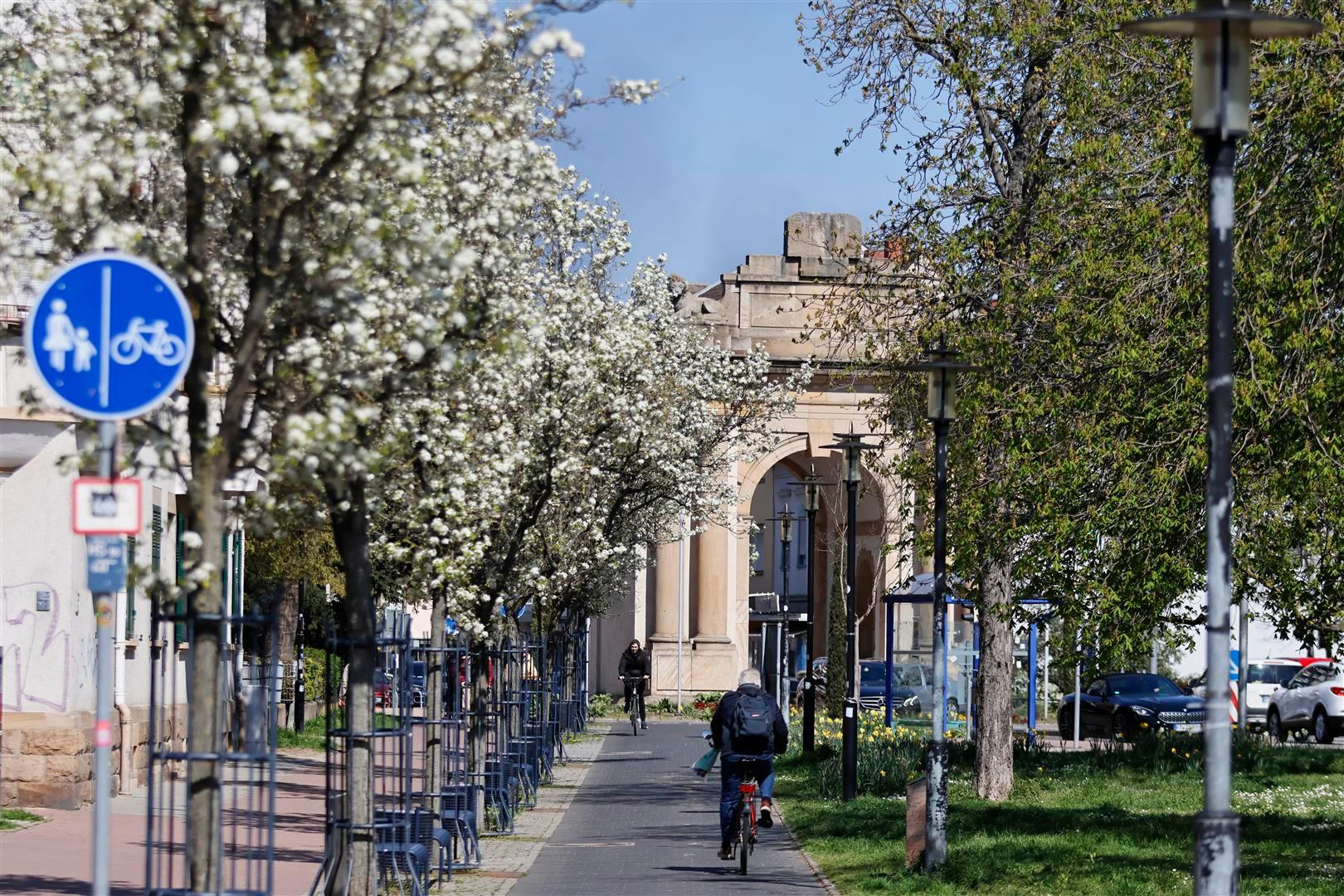 Speyerer Tor mit Fahrradweg und blühenden Bäumen