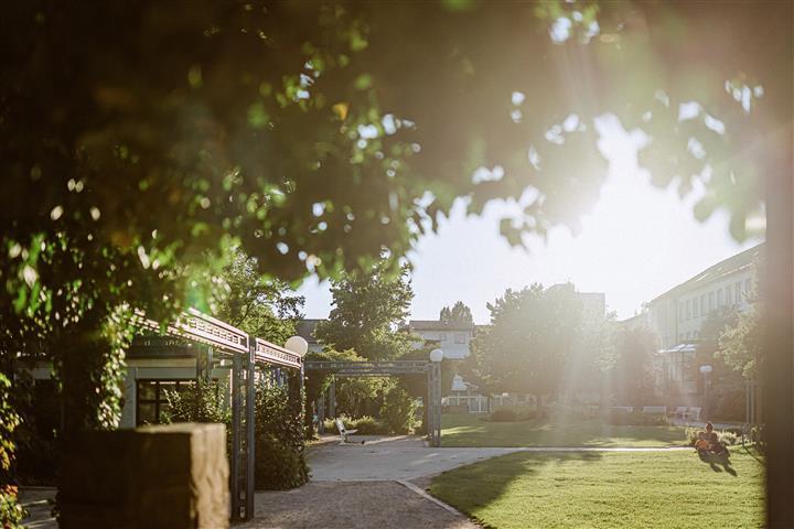 Parkanlage mit Rasen und Sonnenschein