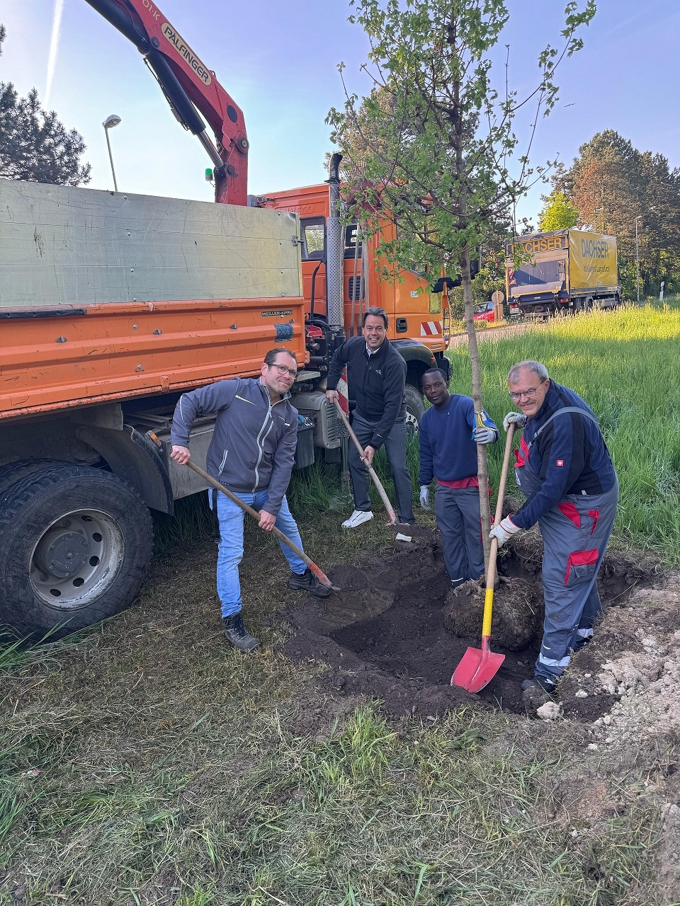 Pflanzaktion eines Baumes mit mehreren Personen