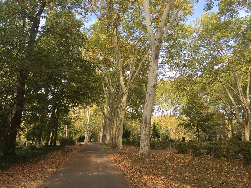 Friedhof Hauptfriedhof FT Friedhof Hauptfriedhof FT