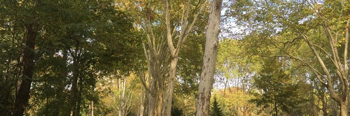 Friedhof Hauptfriedhof FT  Friedhof Hauptfriedhof FT