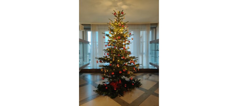 Weihnachtsbaum im Foyer des Rathauses