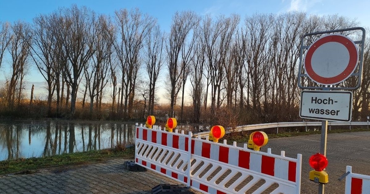 Hochwasserschutz am Rhein: Sperrung von drei Straßen | Stadt Frankenthal