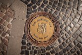 Ein Gullideckel umrahmt von Pflastersteinen. Auf dem Deckel ist das Stadtwappen von Frankenthal.