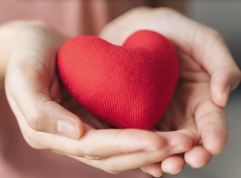 Zwei ineinander verschränkte Hände mit den Innenflächen nach oben, darin liegt ein rotes Herz, passend zum Titel Gesundes Herz- wie Frauen ihre Herzen stärken.