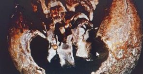 Die Welt, in der wir leben Zu sehen ist eine Brozeskulptur