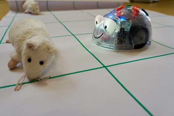Mit Blue-Bot programmieren lernen Der Lernroboter Blue-Bot fährt auf einer Bodenmatte einen Schritt vorwärts.