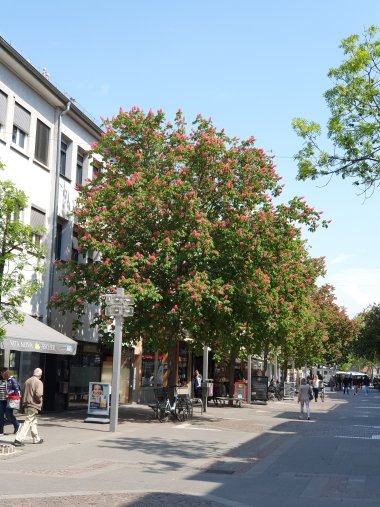 Fußgängerzone Frankenthal